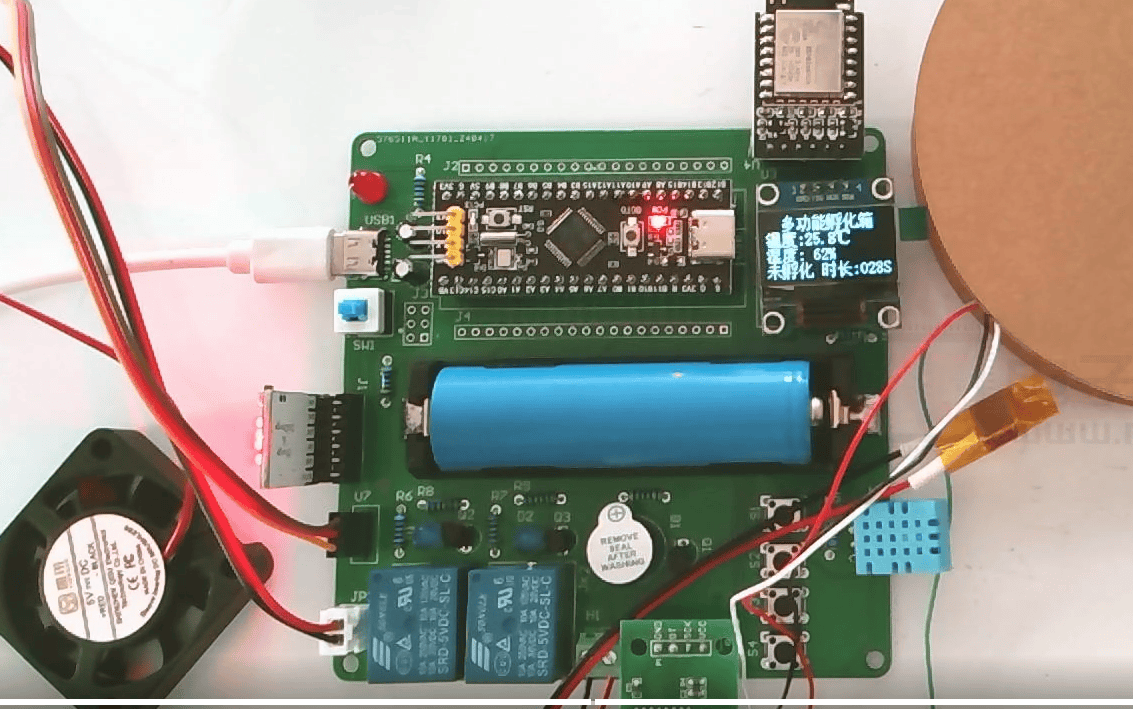 基于STM32的多功能孵化箱控制系统设计
