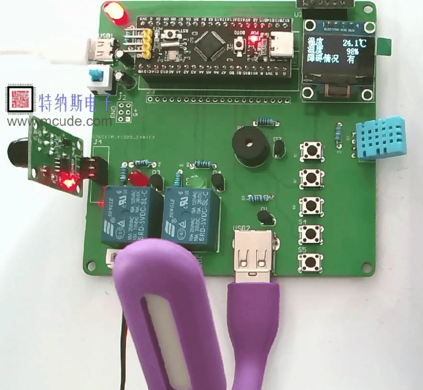 基于stm32的智能宠物孵化箱