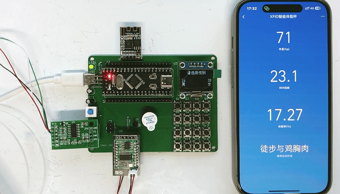 基于STM32的智能体脂秤设计
