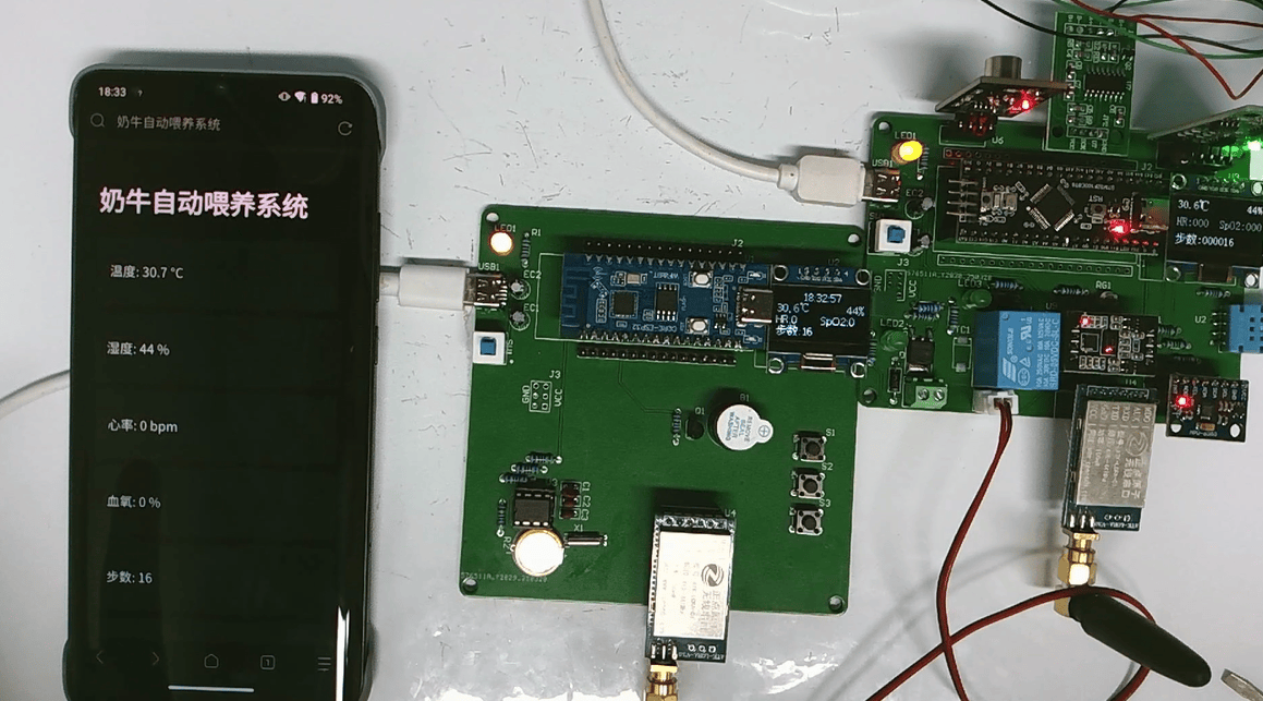 基于lora的奶牛自动喂养系统